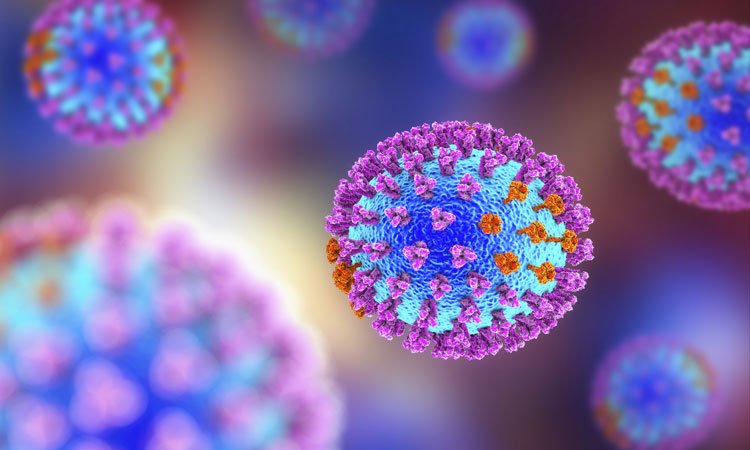 Antiviral compound could be used to fight influenza
