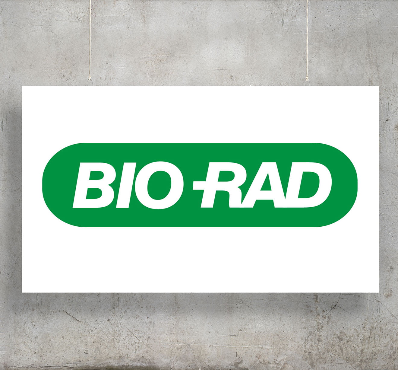 Bio-Rad Laboratories