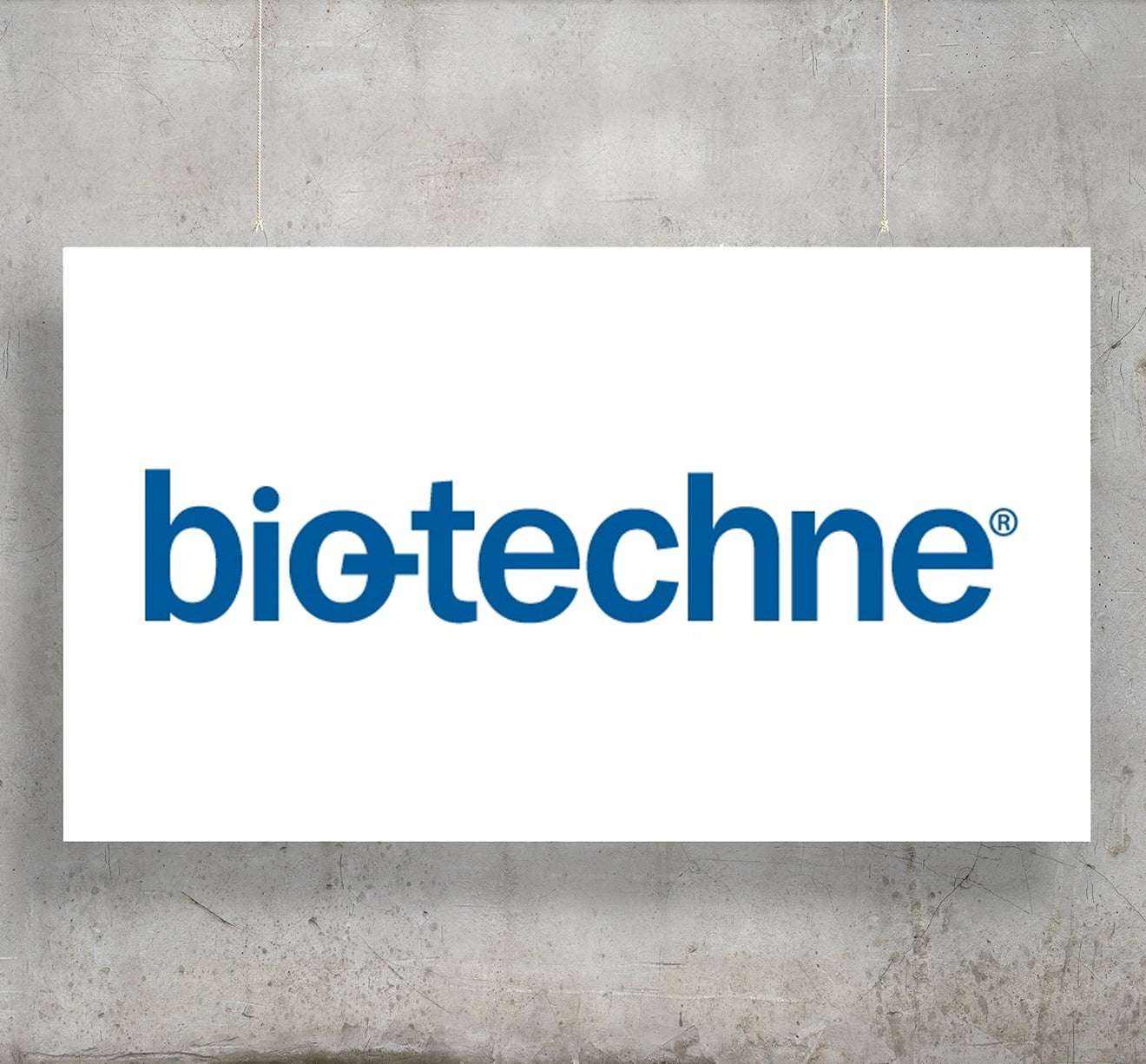 Bio-Techne logo