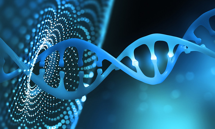 CRISPR and DNA