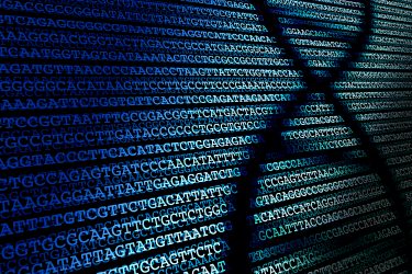 DNA sequence in white lettering on a blue background with a black DNA molecule running up the side
