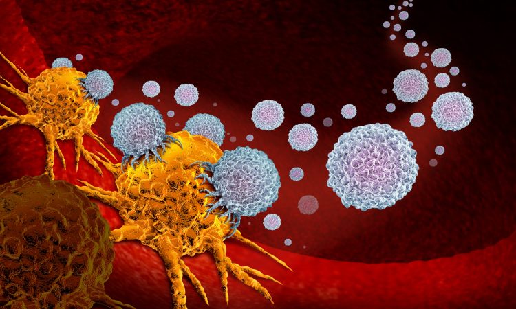 cancer cell in yellow being attacked by white blobs - cancer drug/cell therapy