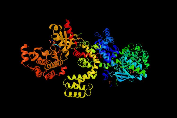 G-protein-coupled-receptors-(GPCRs)
