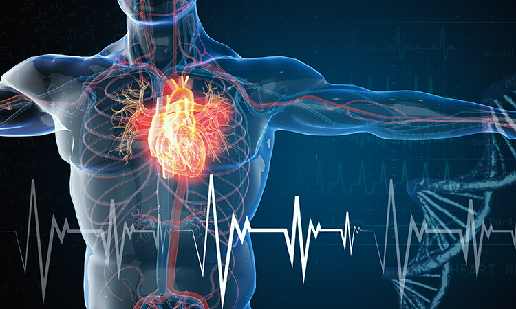 Cardiology and epigenomics