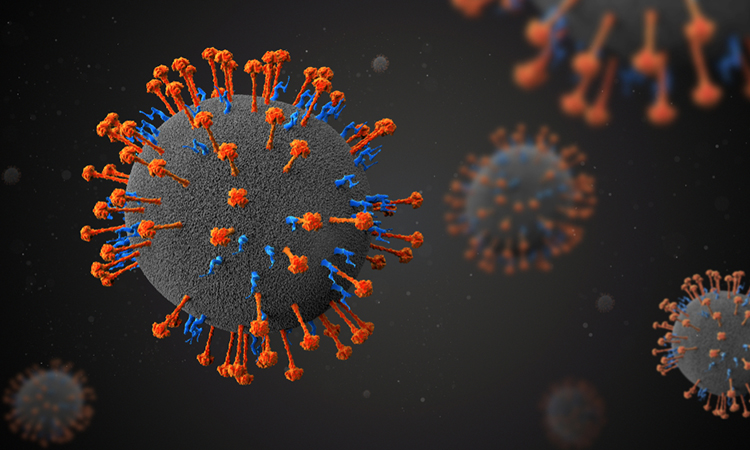 Screening reveals antivirals for henipavirus