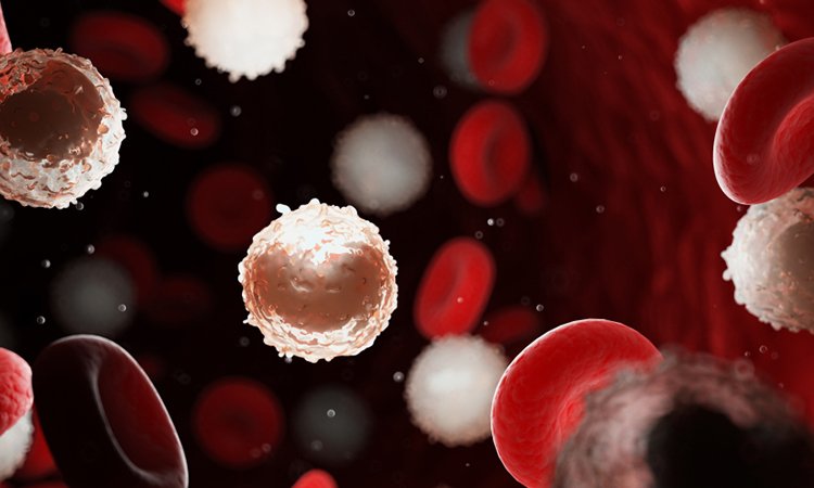 Leukaemia stem cells