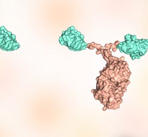 Nanobody to combat SARS-CoV-2