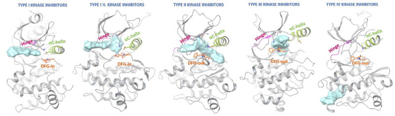 Binding modes of different types of known kinase inibitors