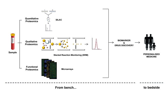 Proteomics Ruler Translational proteomics: from the bench to the bedside