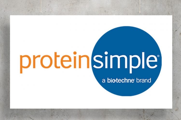 ProteinSimple
