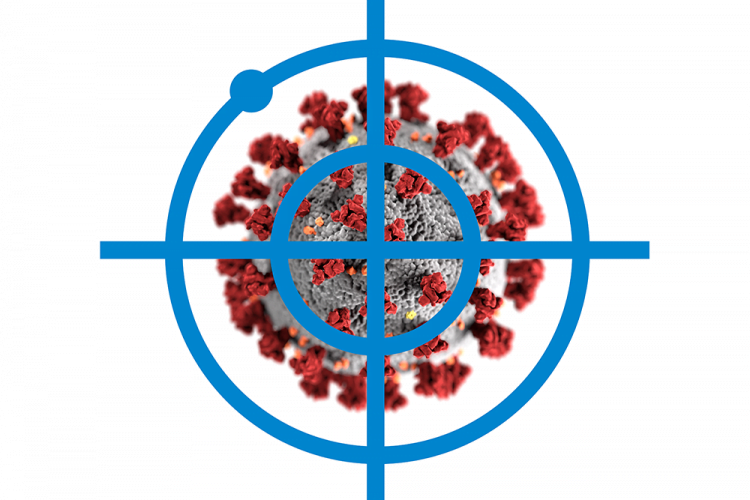 coronavirus particle on grey with red spike proteins under blue crosshares