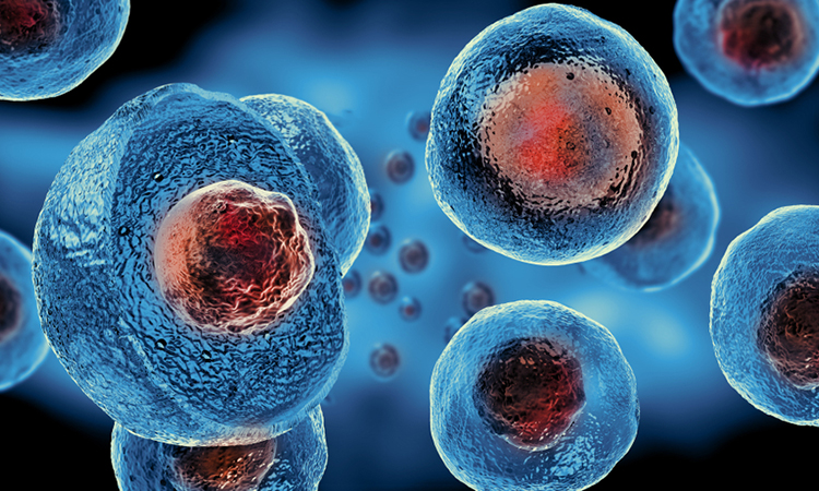 Stem cells and genes