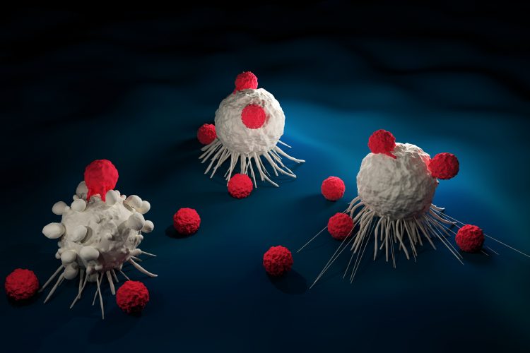Red blobs (indicating T cells) surrounding and touching larger white blobs (acting as cancer cells) - idea of T cell therapy for cancer