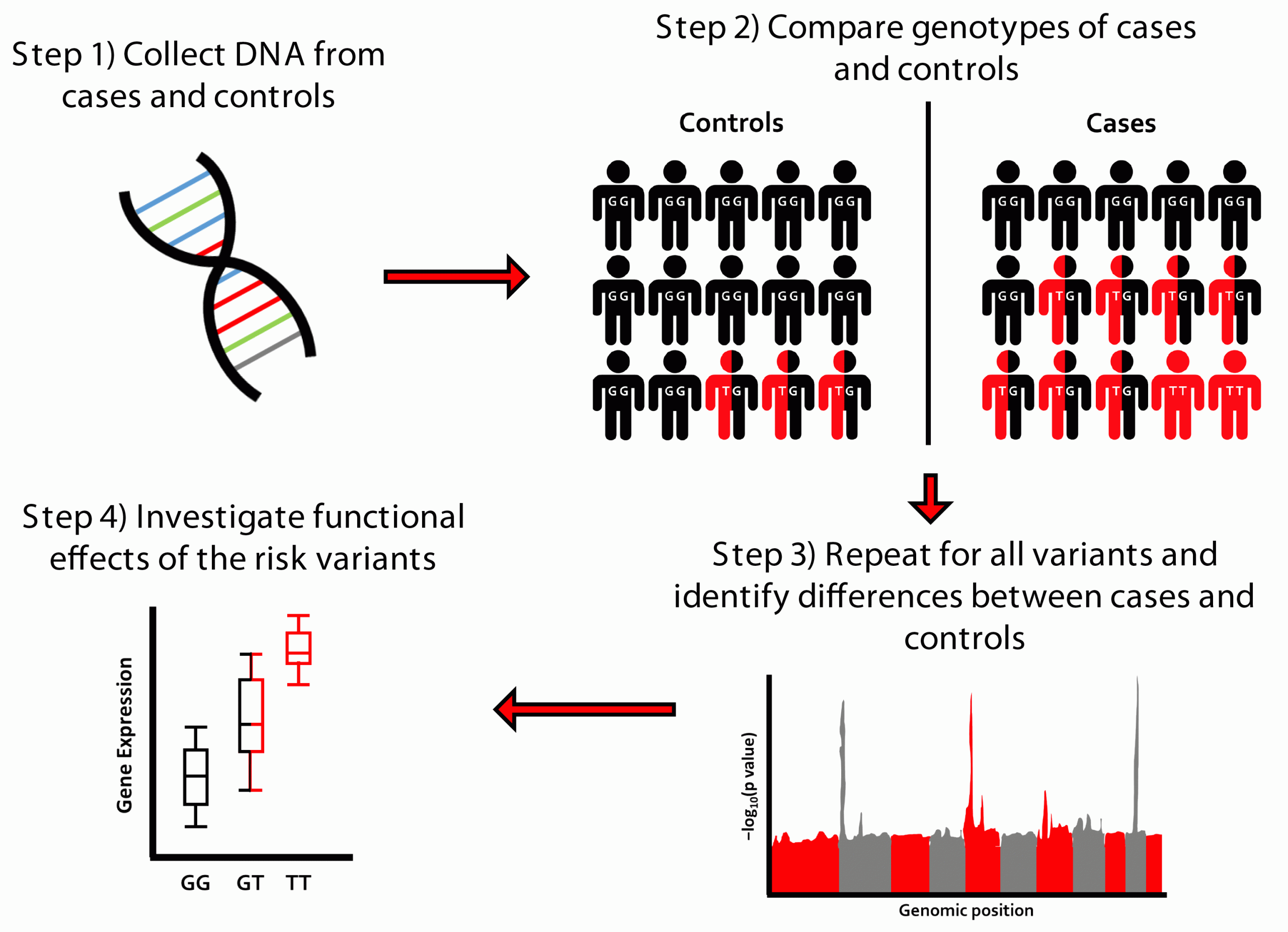 Figure 1. Overview of genome-wide association study (GWAS) design
