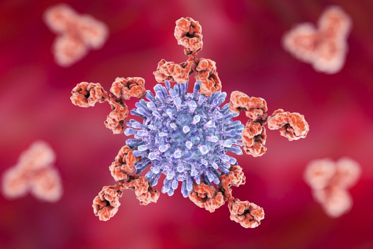red antibodies attacking blue HIV