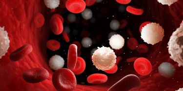 3D rendering of red and white blood cells in circulation