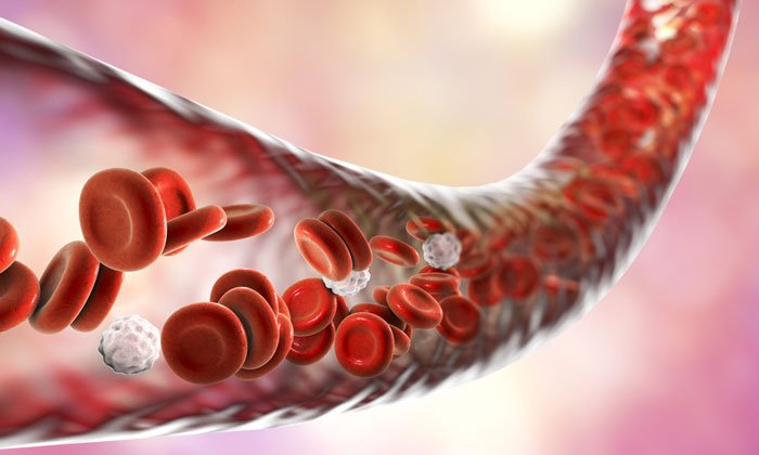 blood-vessels