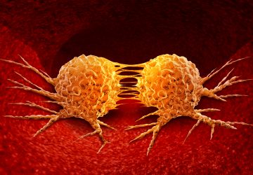 orange cancer cells dividing in red tissue