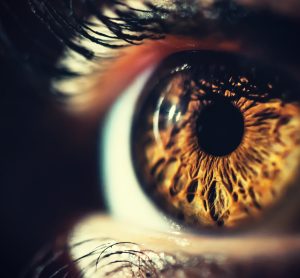 close up photo of a human's brown eye