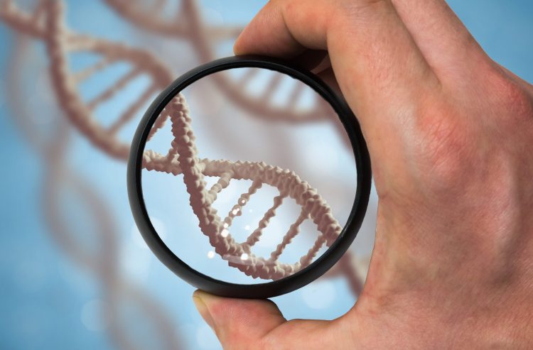 hand holding a black rimmed magnifying glass over a DNA strand - idea of genetic research