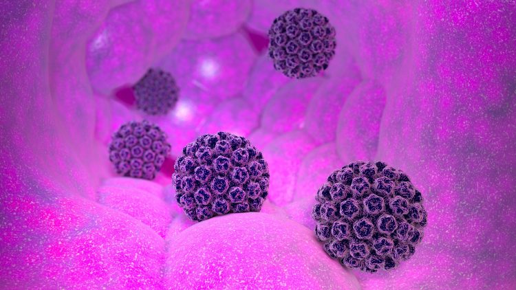 purple papillomavirus particles on a pink 'tissue'-like background
