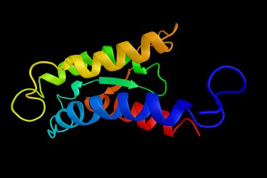 structural image of an interleukin 2 protein formed of alpha helices