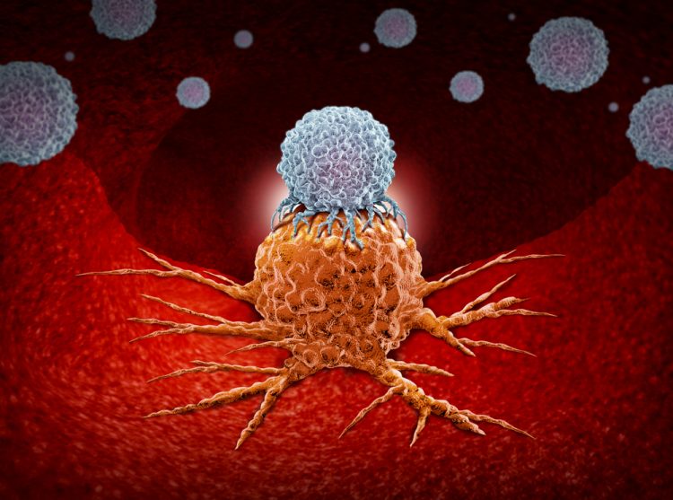 Immune cell attacking cancer tumour, immunotherapy concept