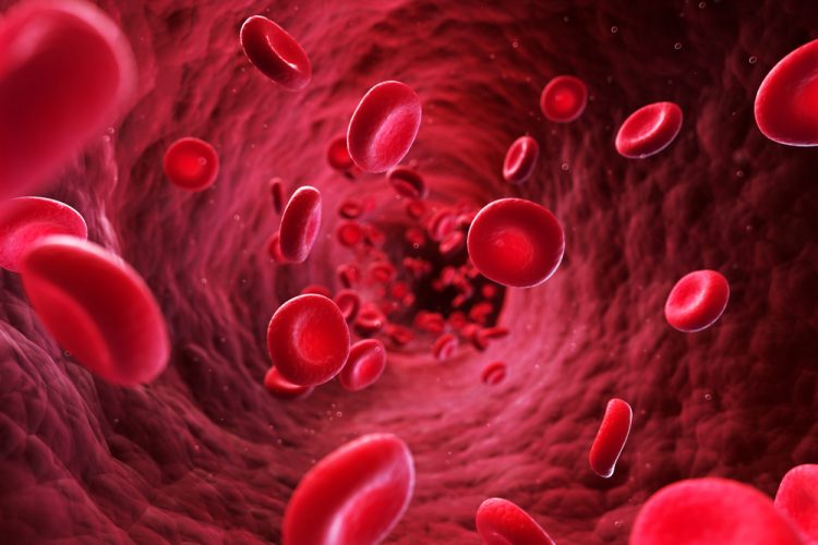 Flowing red blood cells