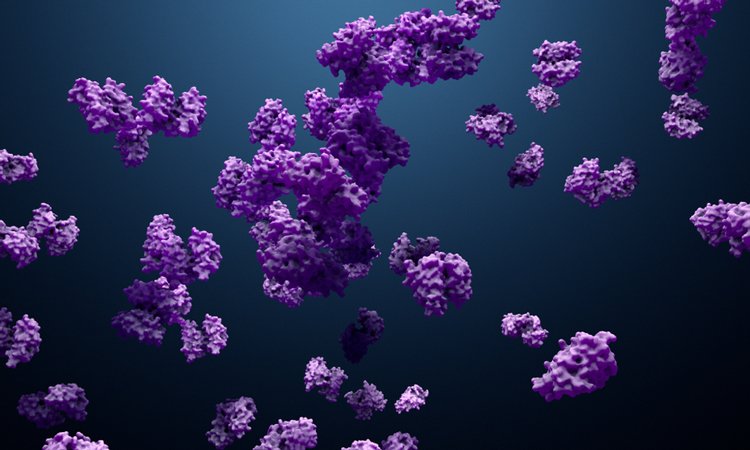 Purple enzymes