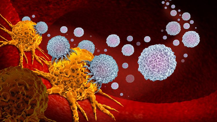 Immunotherapy - white blobs attacking a yellow cancer cell