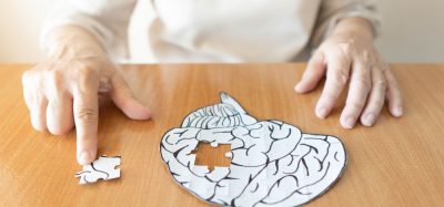 Elderly woman putting last piece of brain shaped puzzle