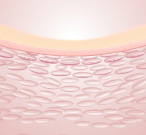 3D rendering of skin structure