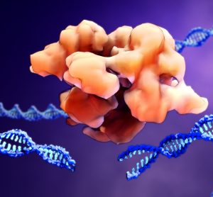 CRISPR Cas9 protein and DNA molecules, 3D gene therapy rendering
