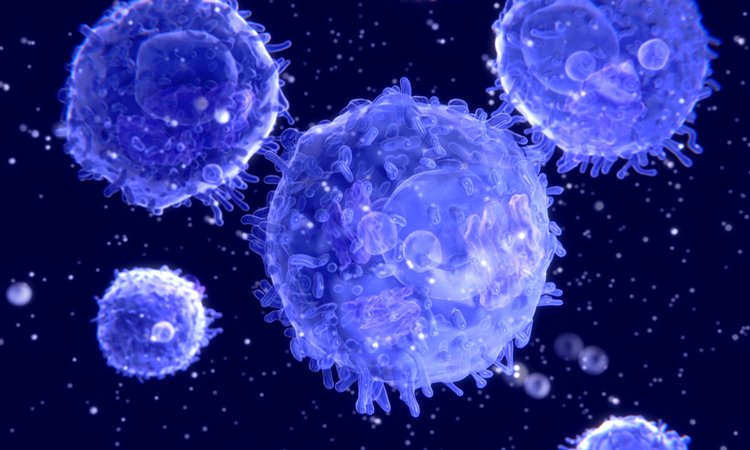 Purple T cells