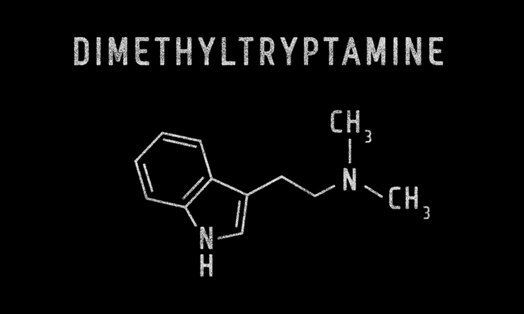 DMT