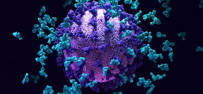 Antibodies an SARS-CoV-2