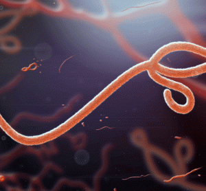 Ebola illustration