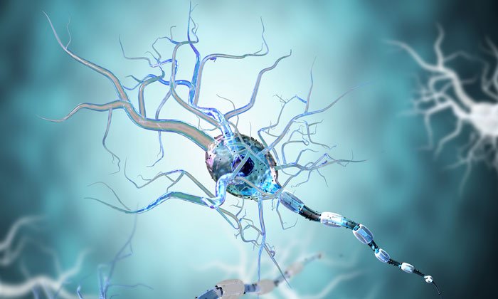 Protective responses appear weaker in neural stem cells from Huntington disease patients
