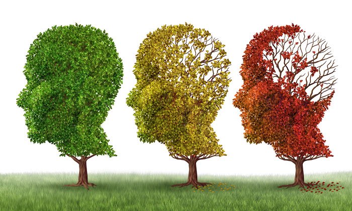 Two new genes linked to Alzheimer's risk