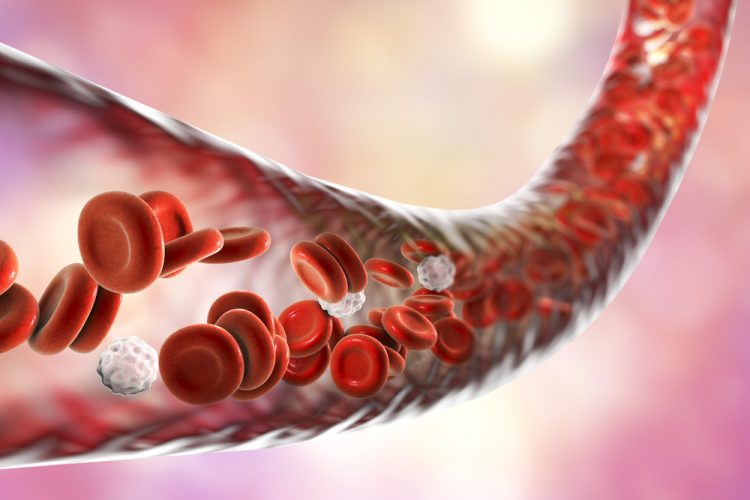 Blood vessel with flowing blood cells