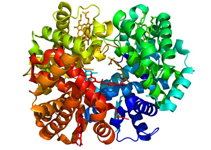 Cryo-EM