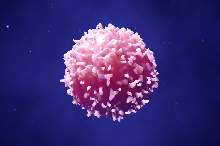 3D artist impression of a T cell