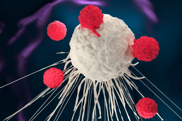 T cells in red attacking a white tumour/cancerous cell - idea of immunotherapies