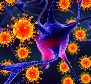viruses in orange surrounding blue neurons