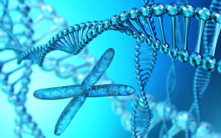 x chromosome surrounded by DNA strands